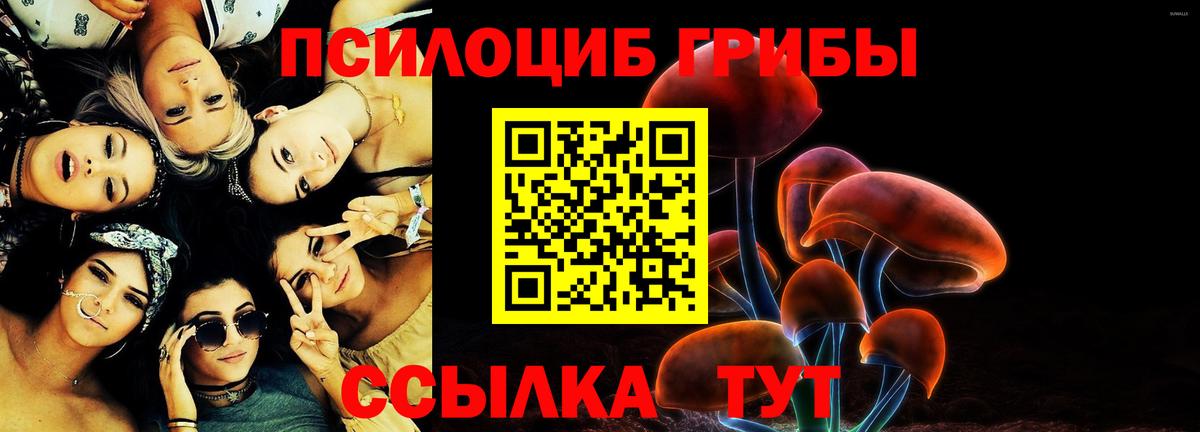 Псилоцибиновые грибы мухоморы Медногорск