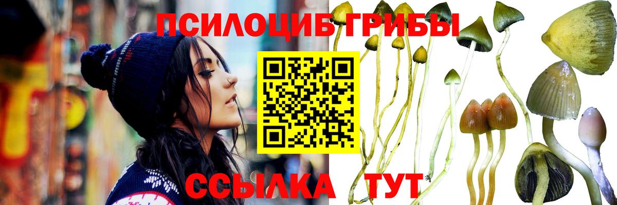 Галлюциногенные грибы мухоморы  Вход с VPN  Медногорск 